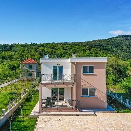 Hirundinidae Villa *
