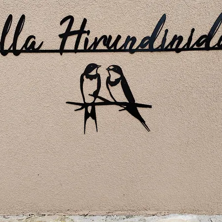 Willa Hirundinidae