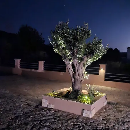 Вілла Hirundinidae *